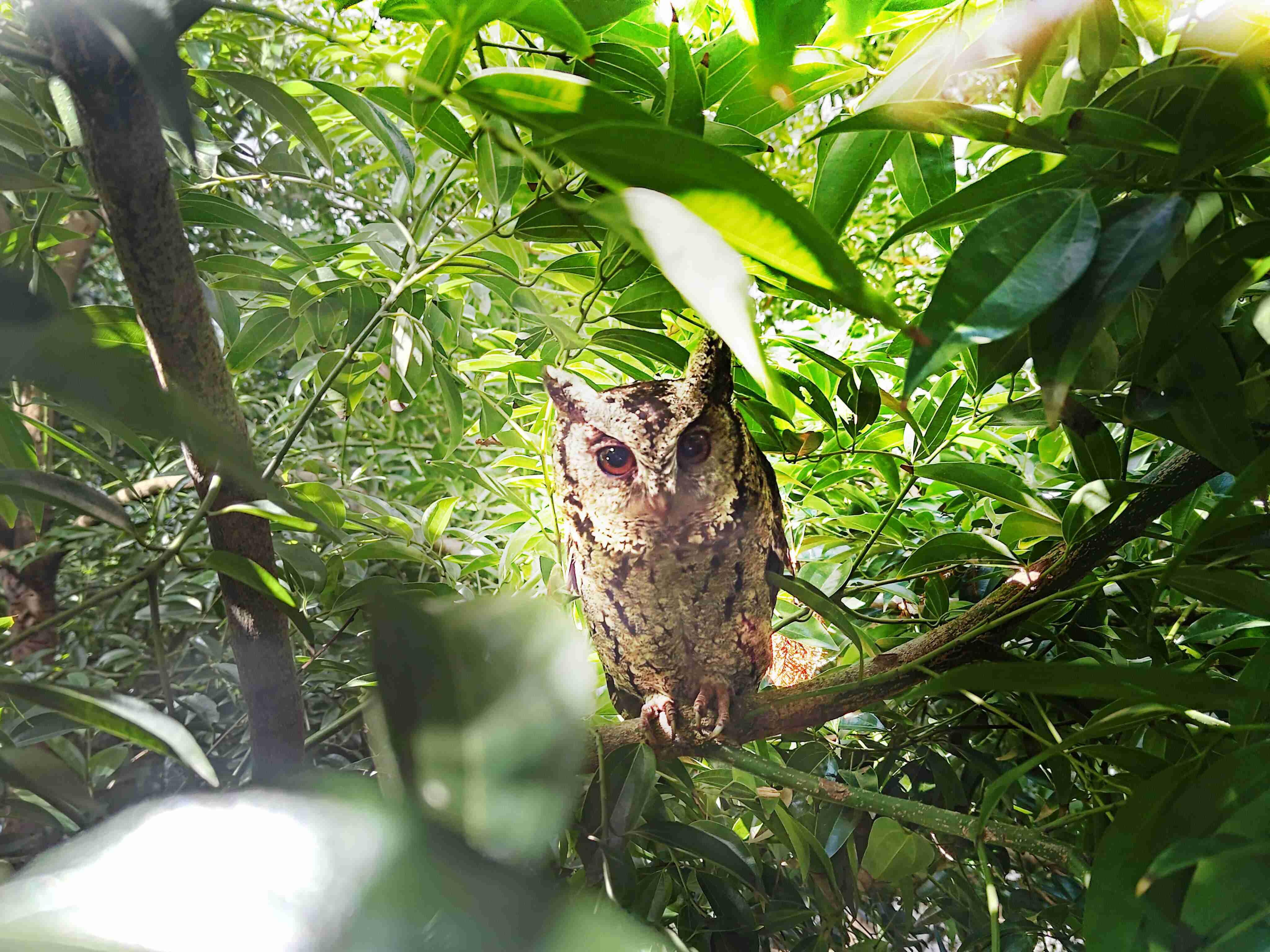 彩运网致力提倡净零绿生活，，，，16年以来在全球各厂区植树逾百万棵，，造就各厂区树木蔚然成林，，犹如森林工厂，，成为许多生物的栖息地